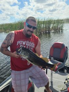 Top Bass Fishing in Florida